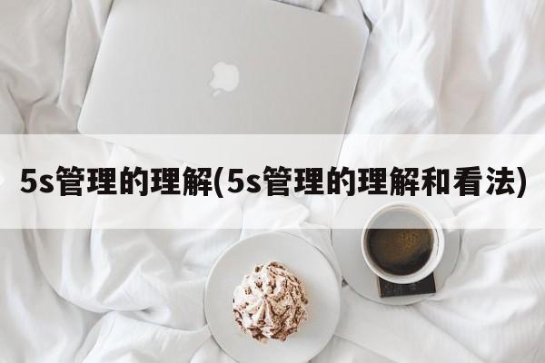 5s管理的理解(5s管理的理解和看法)